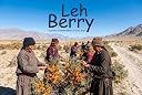 Leh Berry Himalayan Sea Buckthorn Juice 500ml | Natural Source of Vitamin C, Omega 3 6 7 9 & Antioxidants | Supports Immunity, Skin Glow & Gut Health | No Added Sugar gallery image