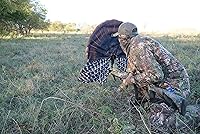 Vista 4 de MOJO Outdoors Turkey Hunting Decoys and Accessories