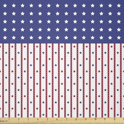 Amazon.com: Timeless Treasures USA Patriotic American Flag 24" Panel ...