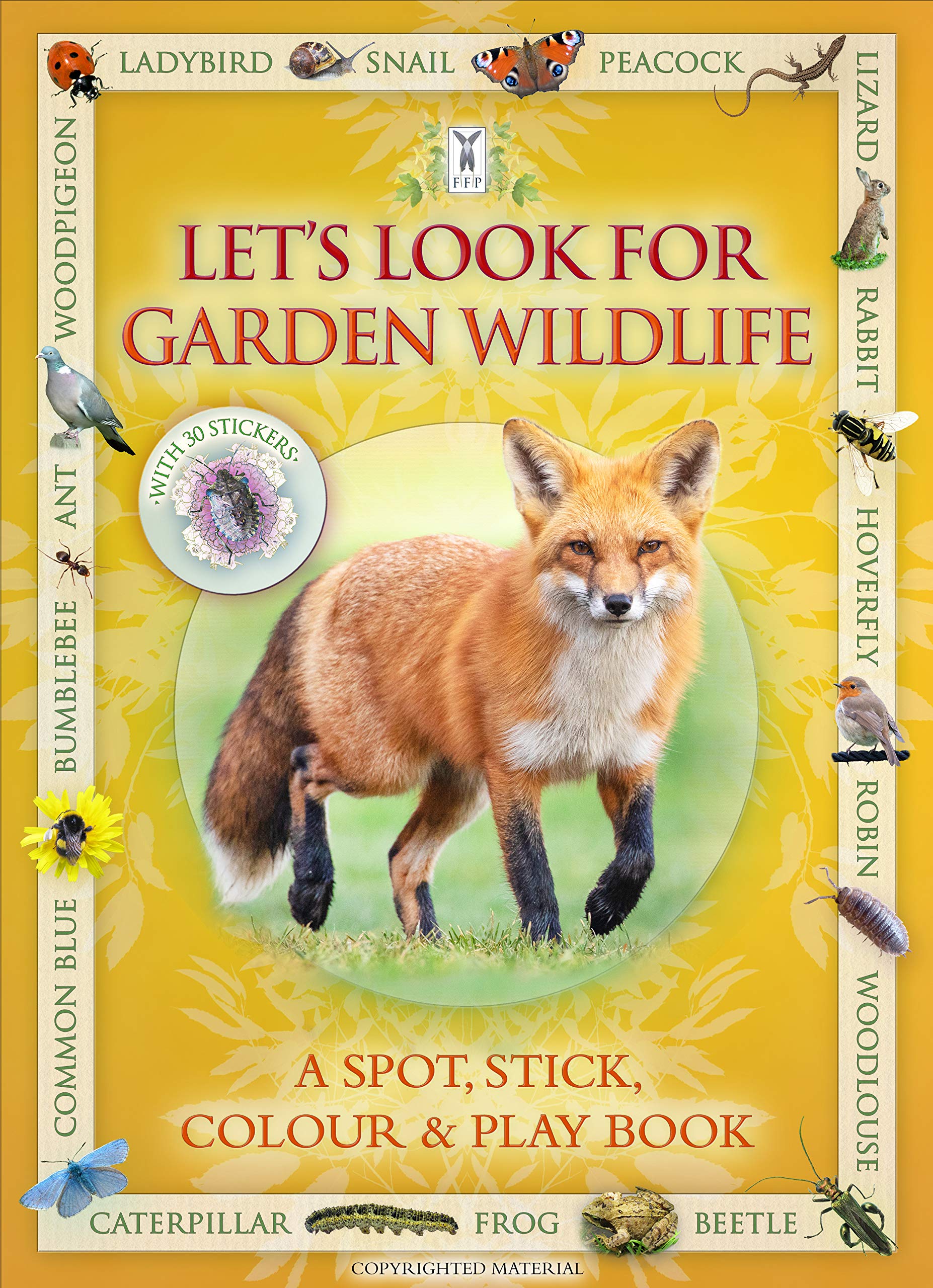 Let's Look for Garden Wildlife by Andrea Pinnington (Paperback Book)