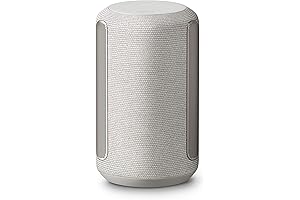 Discover Immersive Audio with Sony's 360 Reality Audio Wireless Speaker