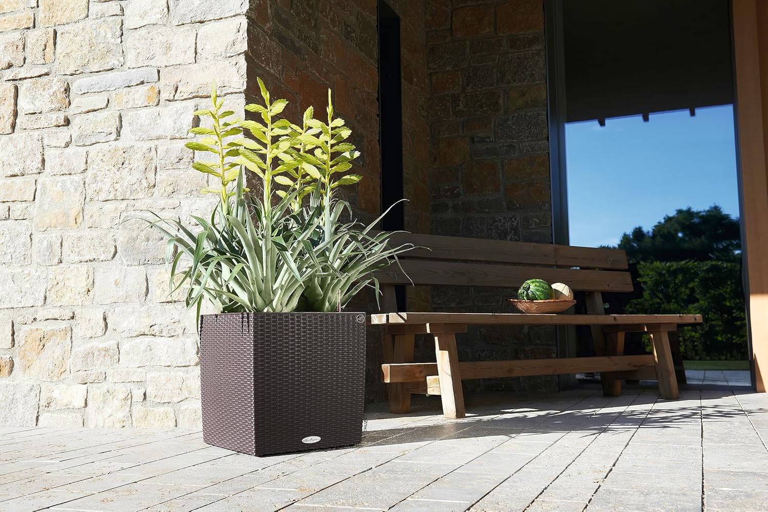 Lechuza Cube Cottage 40 Mocha, Self-Watering Square Planter, H15.7 L15.4 W15.4 in