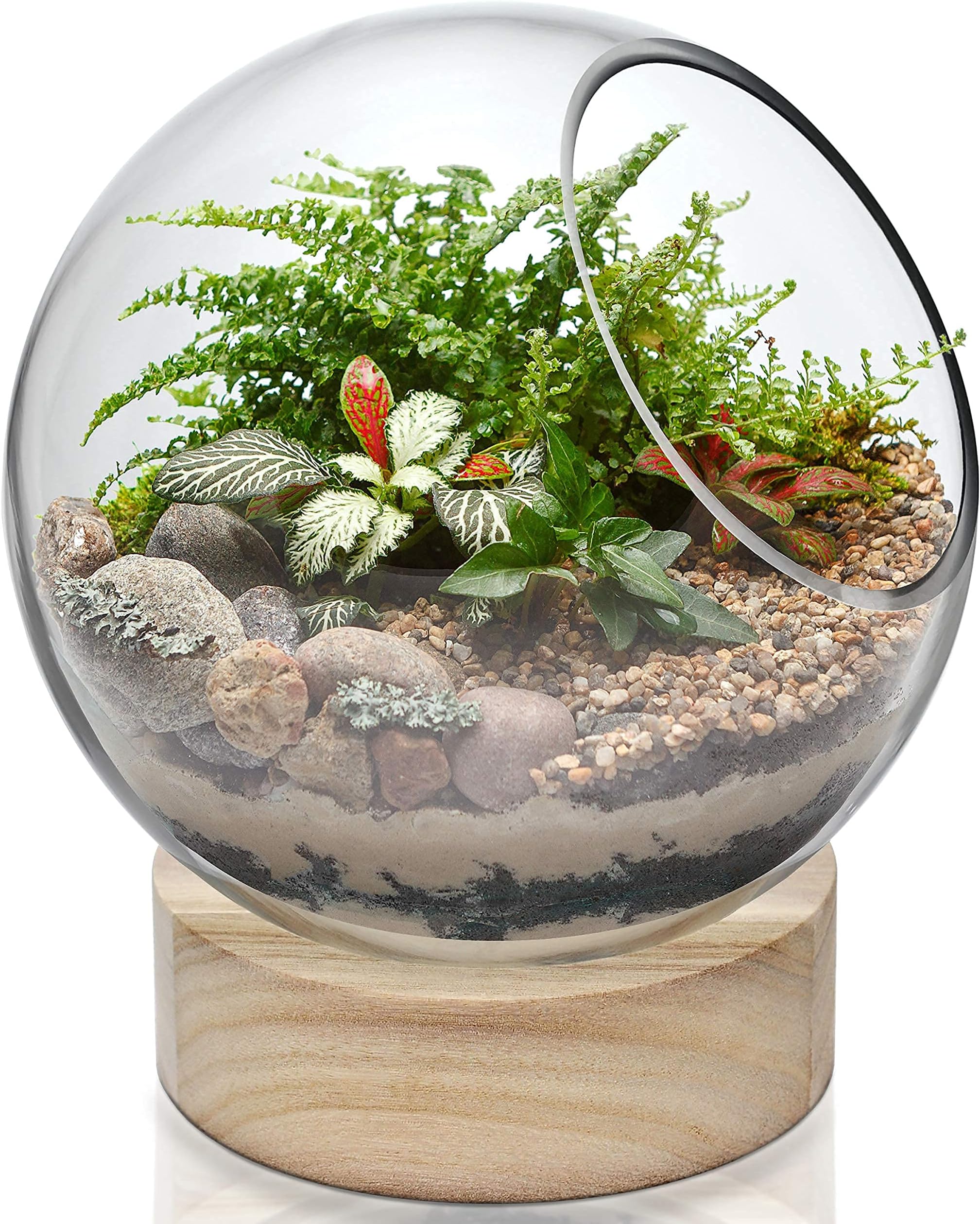 CYS EXCEL Glass Terrarium Candle Holder Bubble Bowl with Wood Base (H:8" W:6.5") | Unique Fish Bowl Aquarium with Wooden Stand | Plant Bubble Dome | Candy Bowl Storage Container