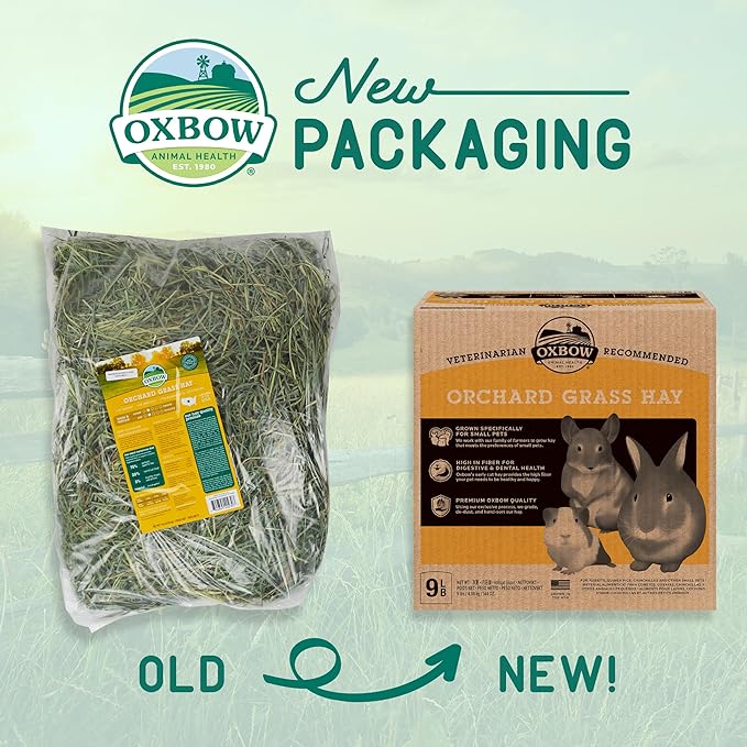 Oxbow Orchard Grass Heno para Conejos, Cobayas 9 lb miniatura 3