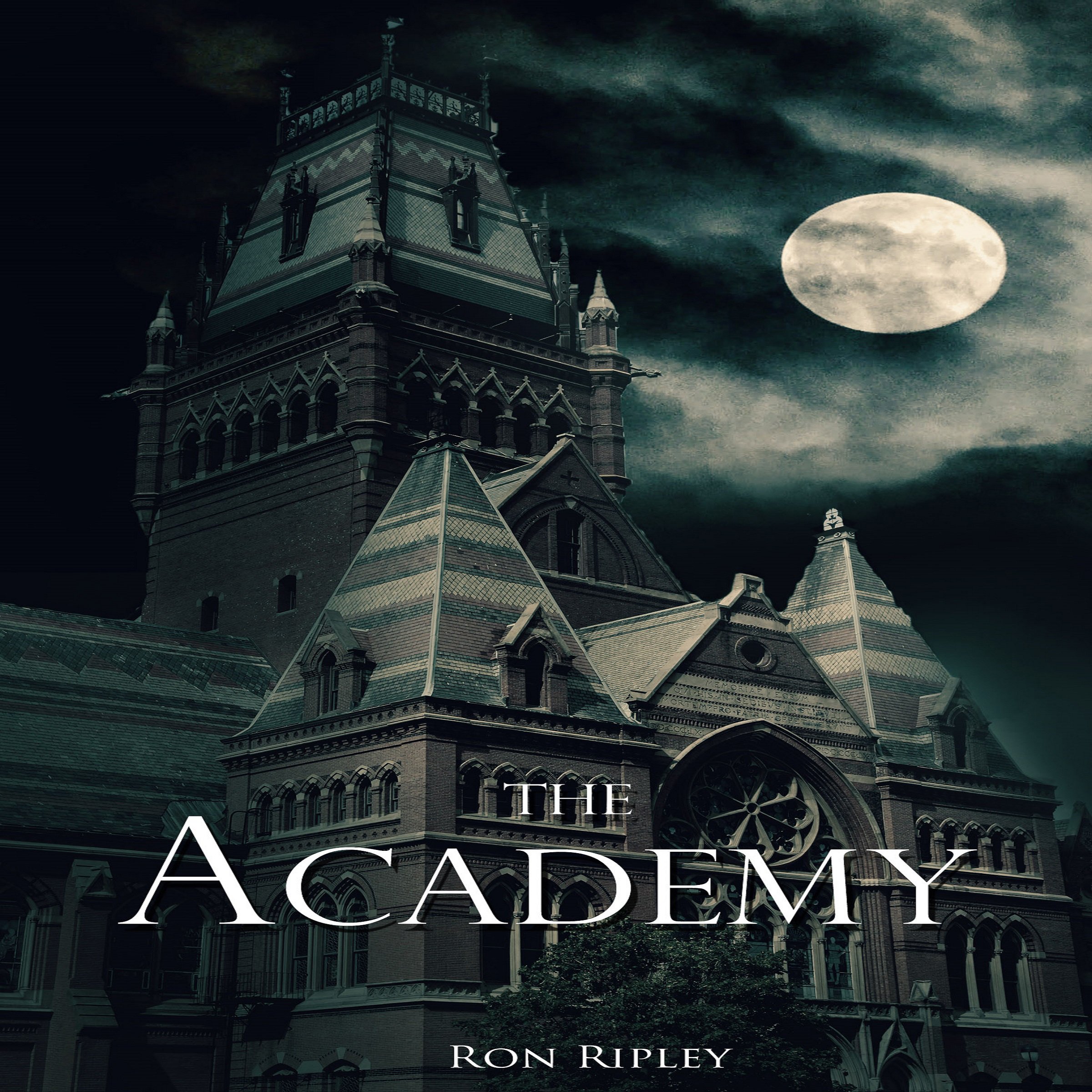 Cover art for The Academy