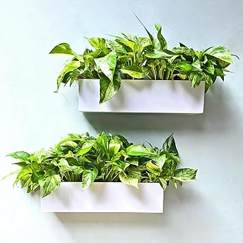 LaLaGreen Wall Planter 16 Inch, 2 Pack Carbon Steel White Metal Hanging Flower Pot for Succulents, Wall Mount Rectangular Window Sill Box Fence Floating Garden Shelf for Deck Indoor Outdoor Decor