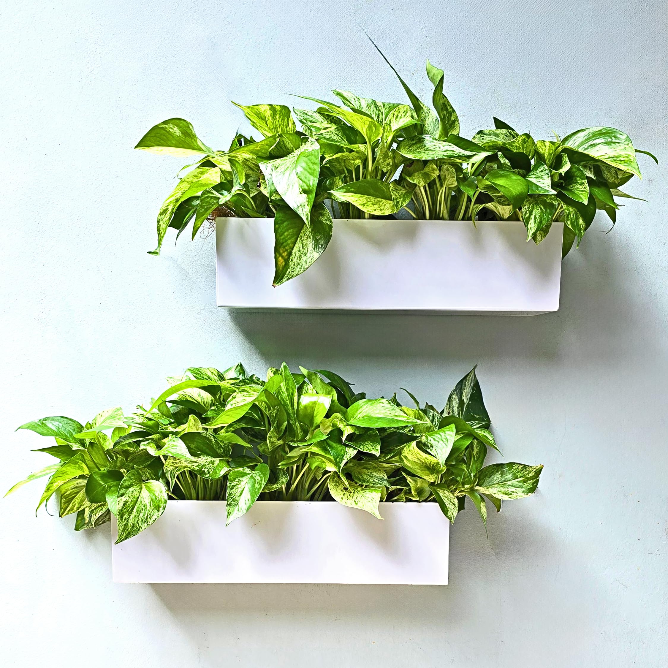 LaLaGreen Wall Planter (16 Inch, 2 Pack) Carbon Steel White Metal Hanging Flower Pot for Succulents, Wall Mount Rectangular Window Sill Box Fence