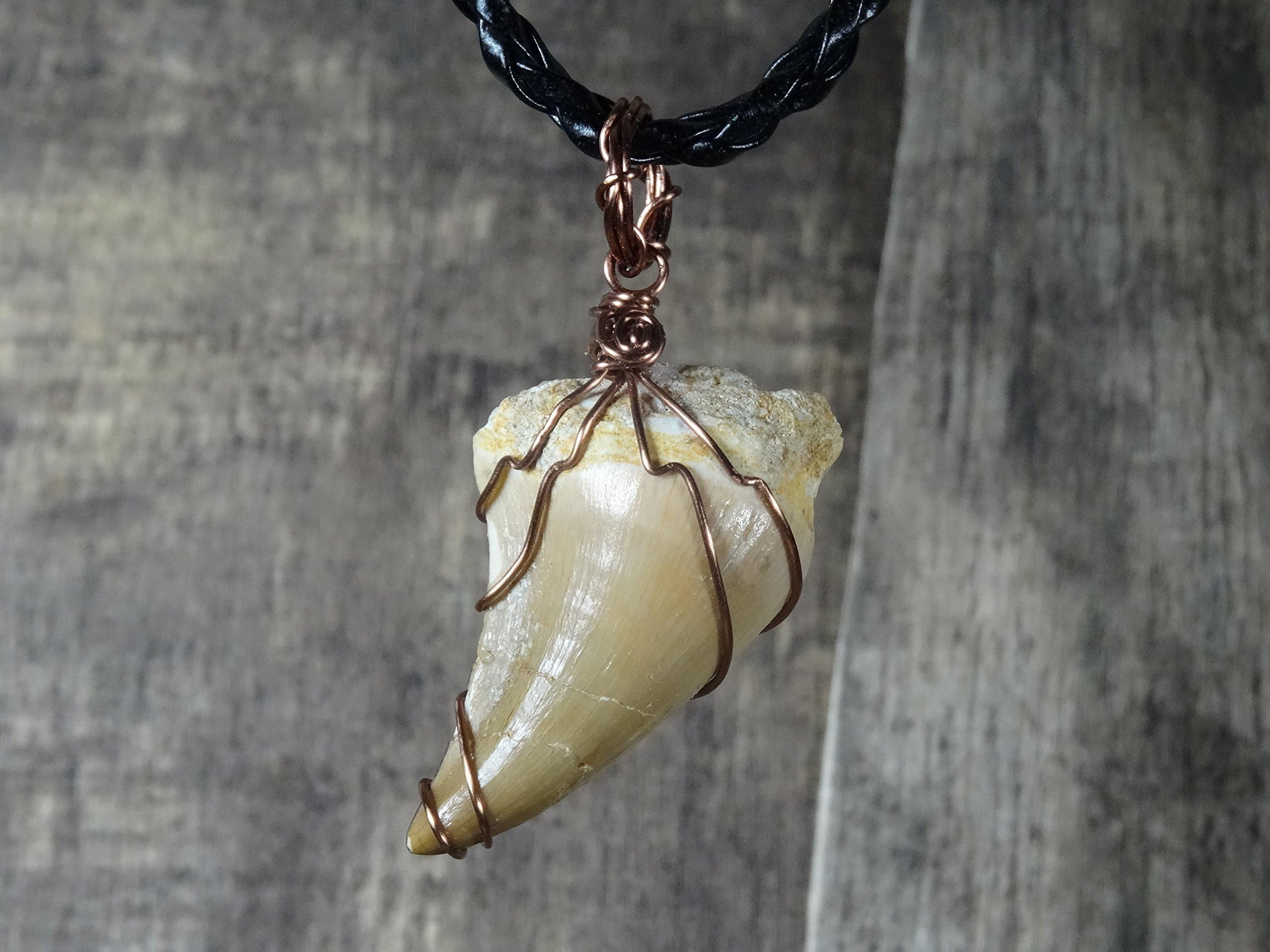 Mosasaurus Tooth Pendant, Antique Copper Dino Tooth, Vulture Culture, Oddities and Curiosities