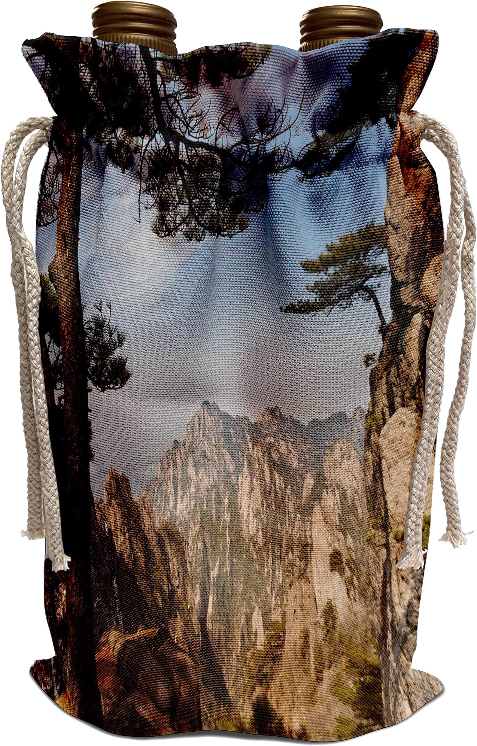 3dRose Danita Delimont - China - Huang Shan landscape, China - AS07 AWO0008 - Art Wolfe - Wine Bag (wbg_132380_1)