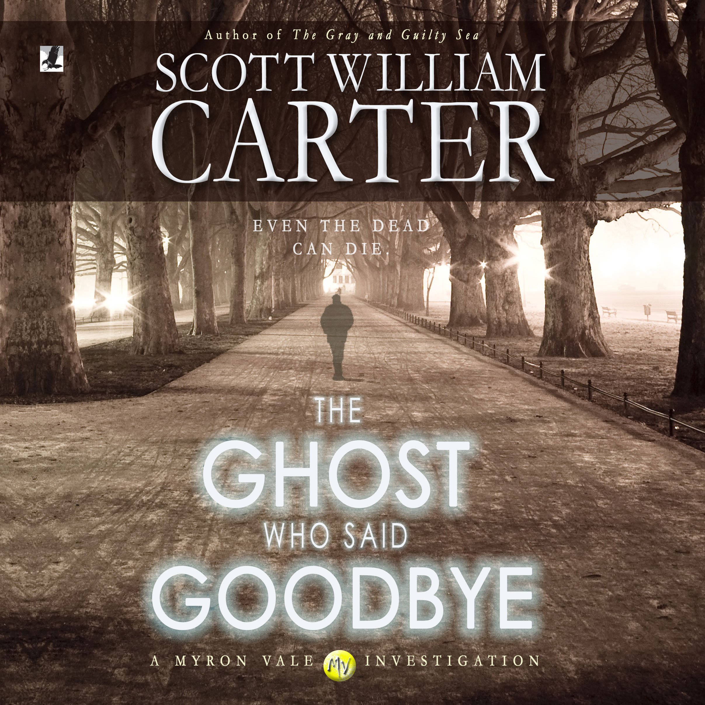 The Ghost Who Said Goodbye