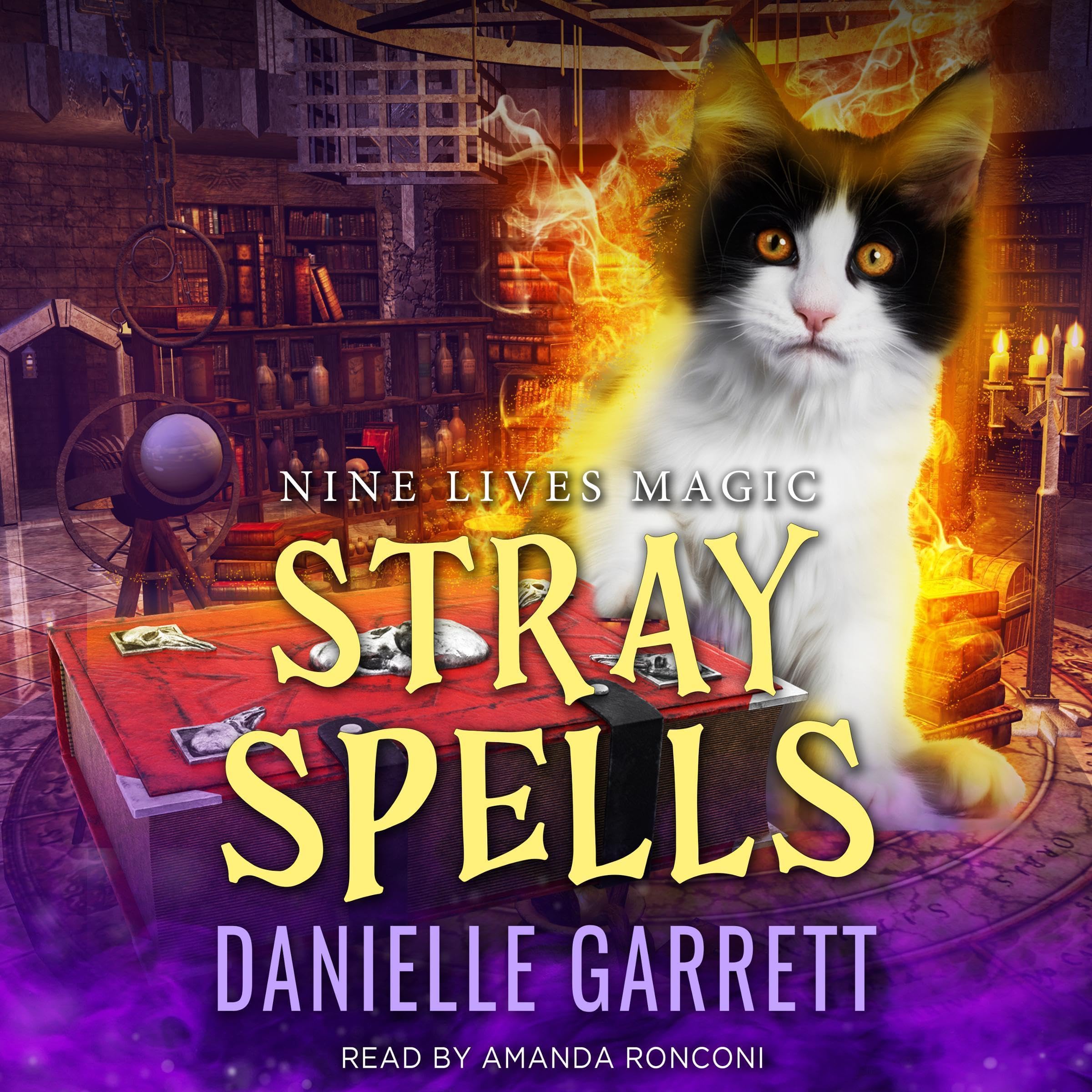 Cover art for Stray Spells