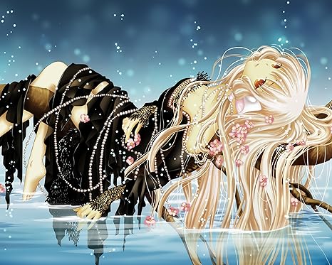Chobits Poster Anime Home Decor Wall Art Clamp Eruda Box Posters Japan Official Promo 16x Inches Amazon Ca Home