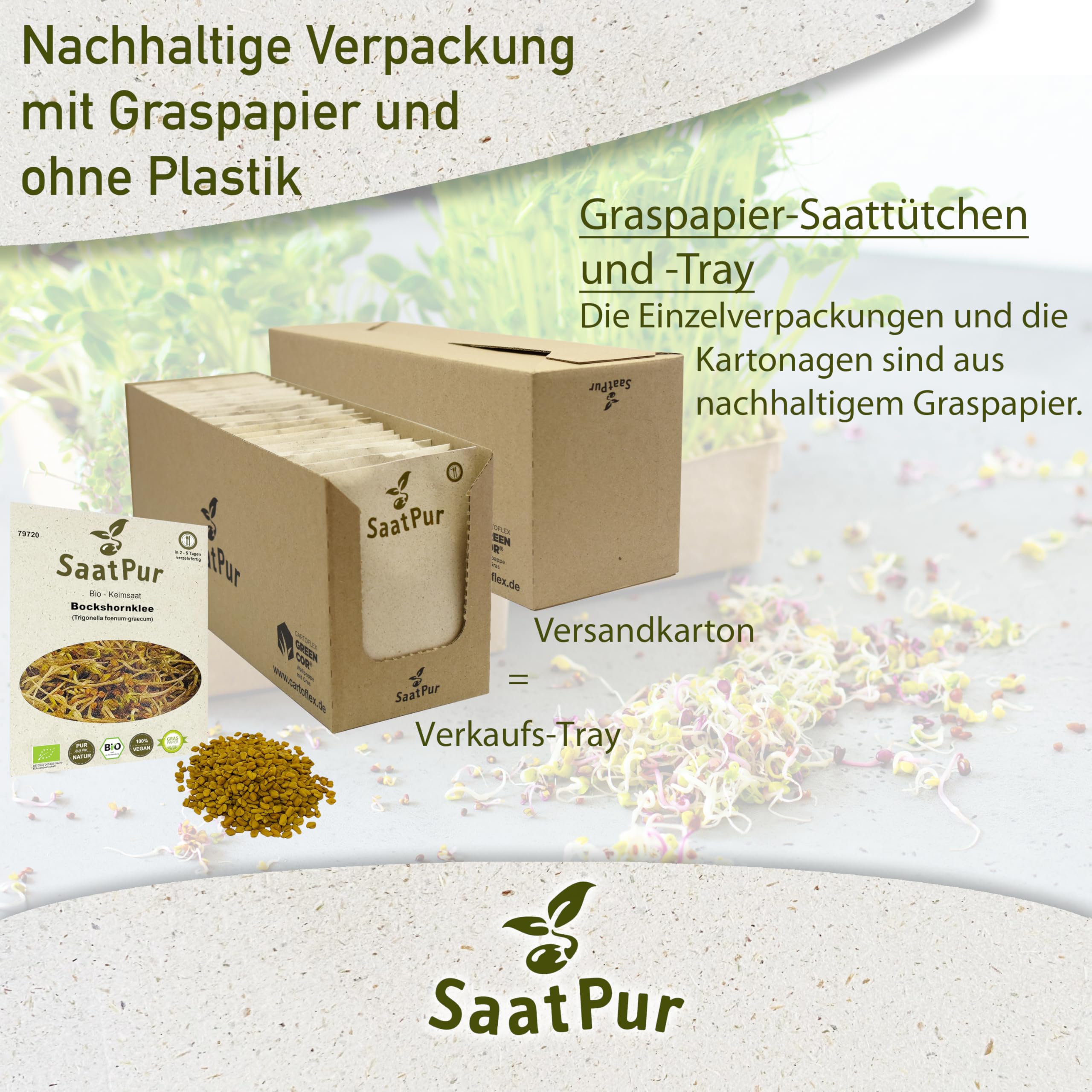 Bockschornklee BIO Keimsprossen von SaatPur - Sprossensaat - Großes Tray mit 30 Portionstüten je 75g