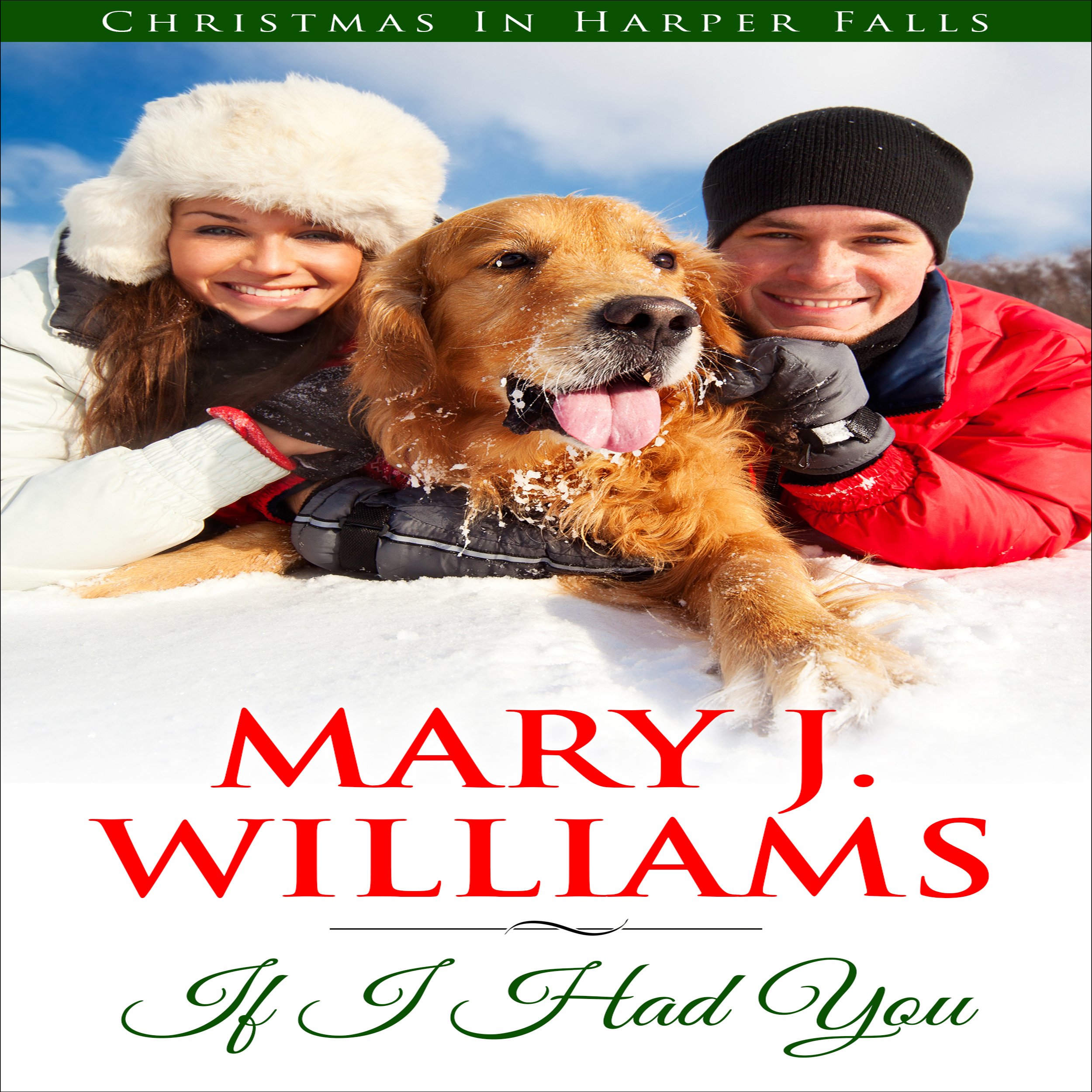 Cover art for If I Had You