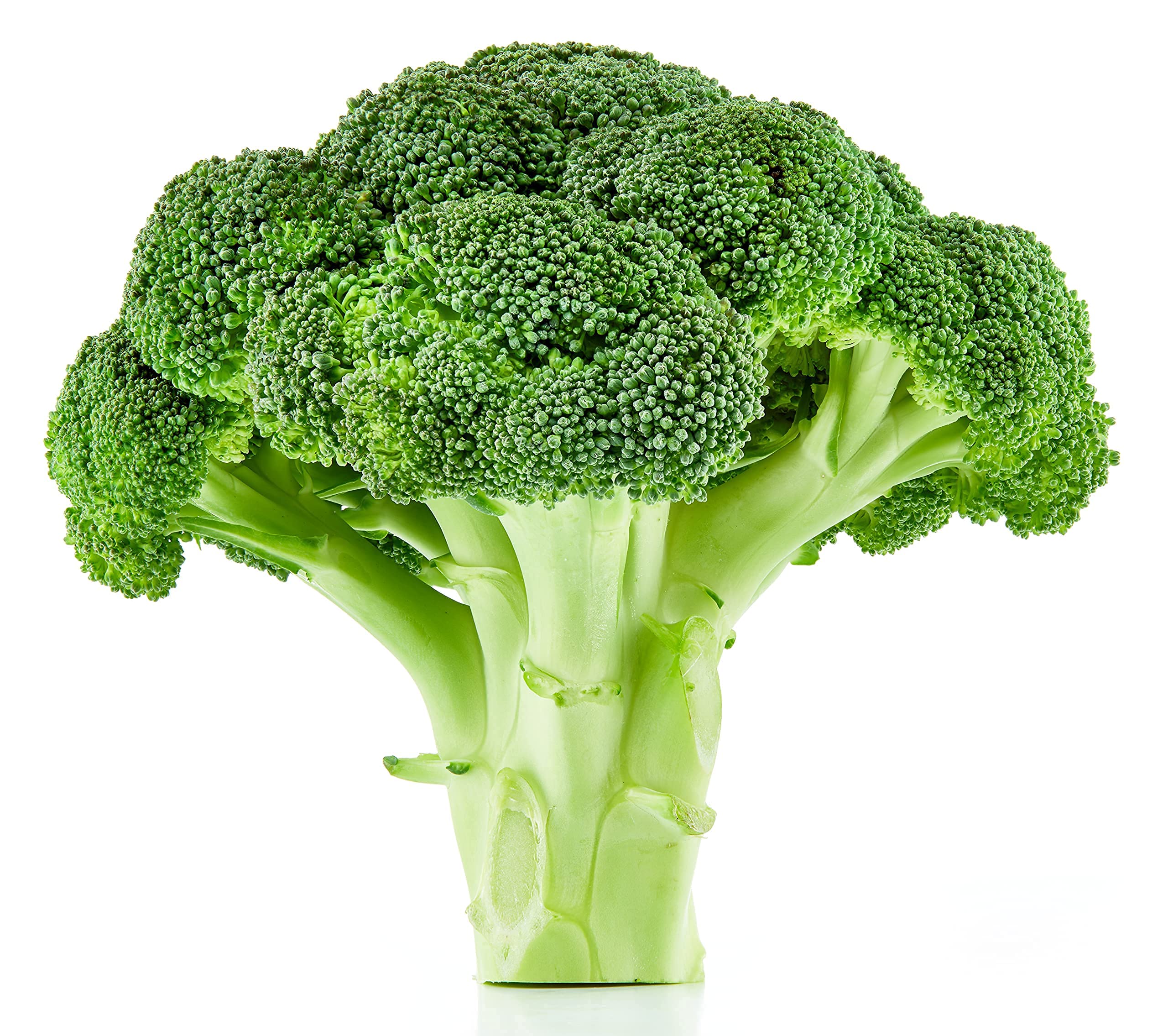 Amazon.com : Broccoli Seeds - 250 Heirloom Waltham 29, Non GMO