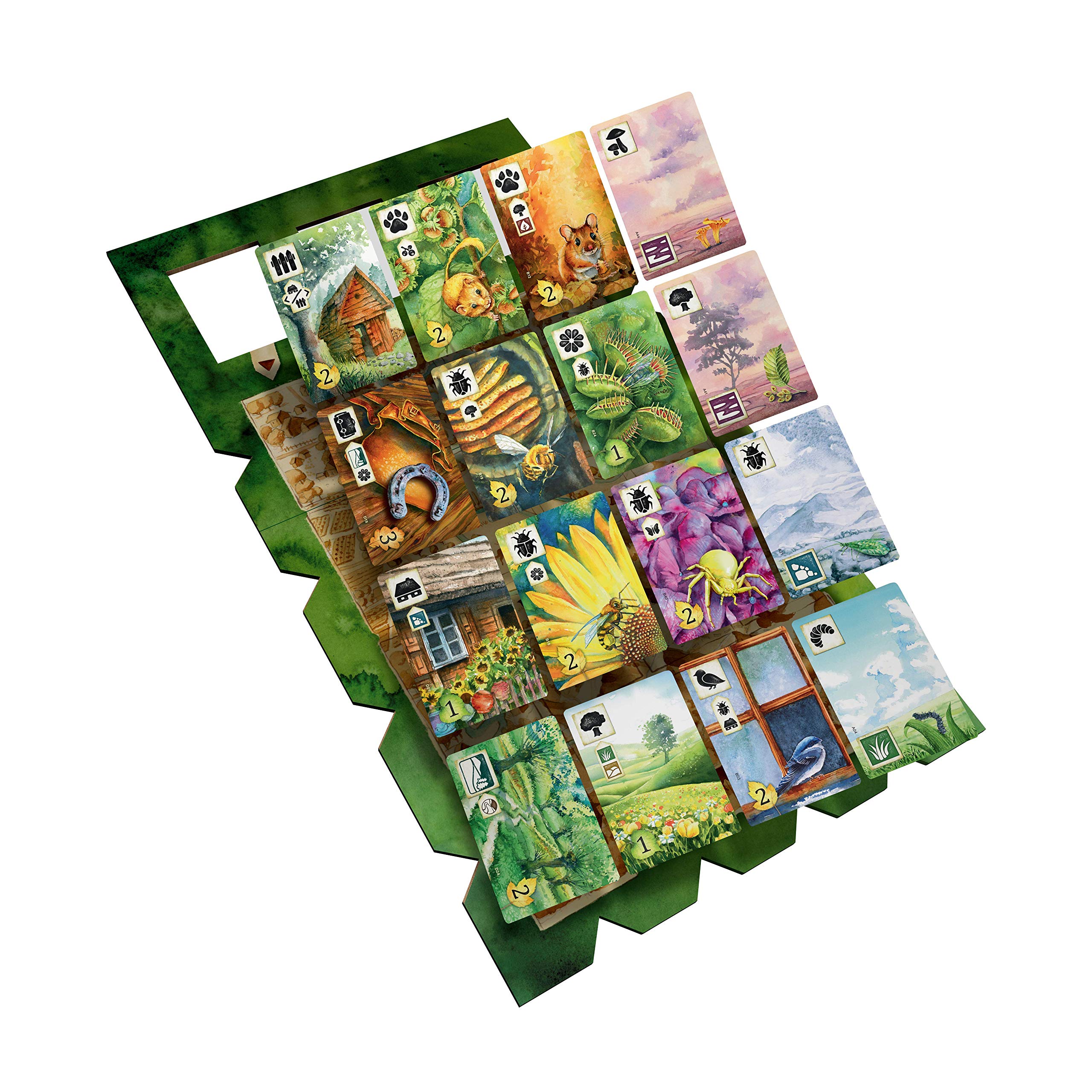Asmodee Meadow, gra planszowa, 1-4 graczy, 10+ lat, wydanie włoskie