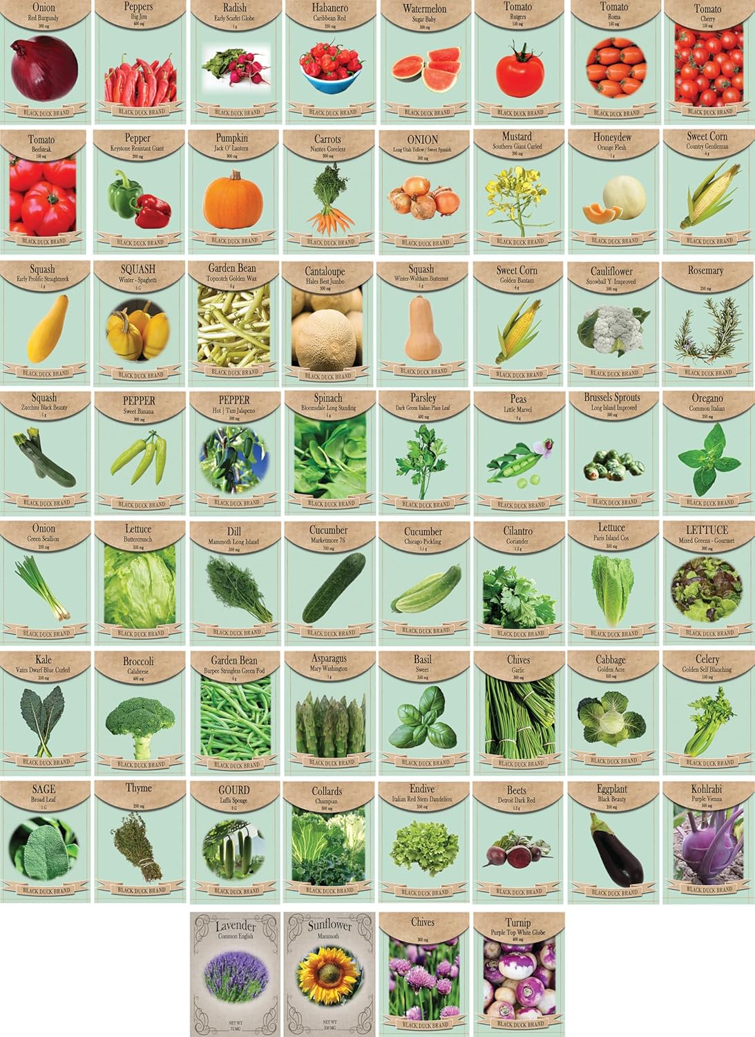 Set of 60 Premium Variety Herbs and Vegetables - Deluxe Garden Choices for Premium Gardening! (60 Premium Seeds)