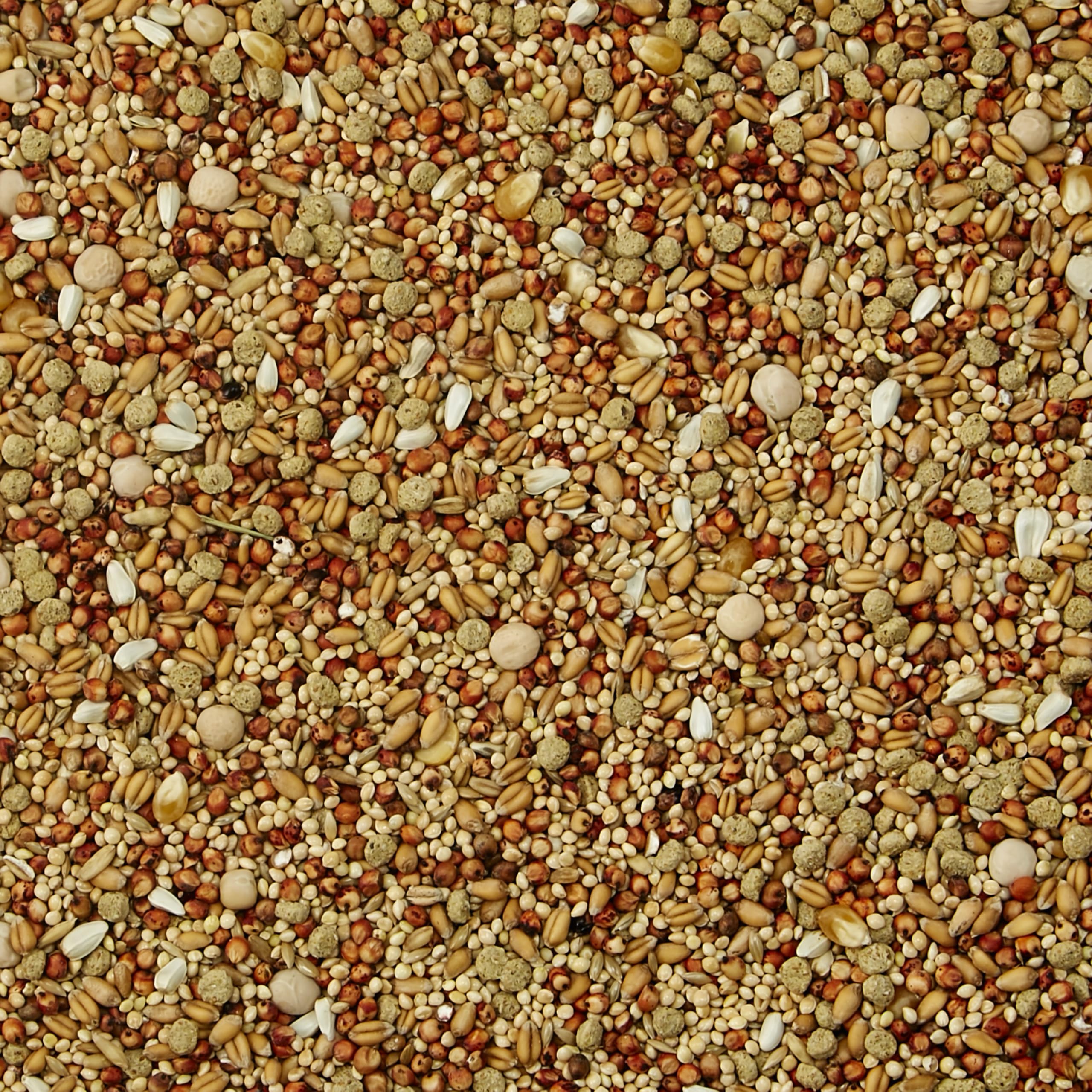 Kaytee Supreme Vogelfutter für Tauben, 2,3 kg Beutel (Verpackung kann variieren)