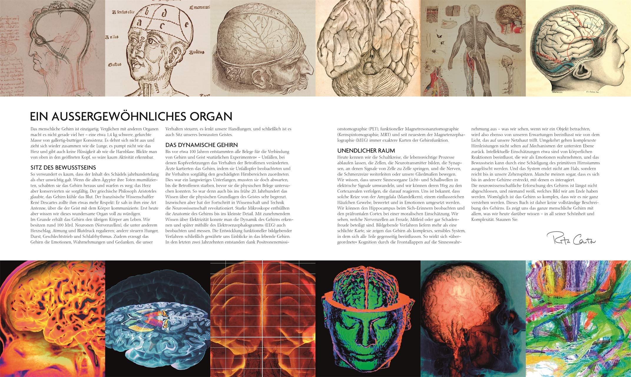 Das Gehirn: Anatomie, Sinneswahrnehmung, Gedächtnis, Bewusstsein, Störungen. Aktualisierte Neuausgabe