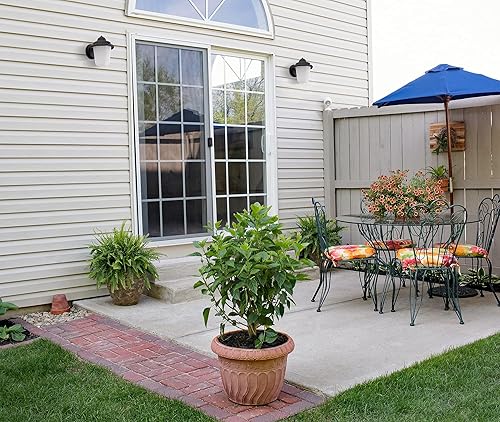 Miniatura 5 de CORAMDEO Aplique de luz LED para exteriores estilo tarro de gelatina para patio y terraza, ubicación húmeda, LED integrado que proporciona 75 W de