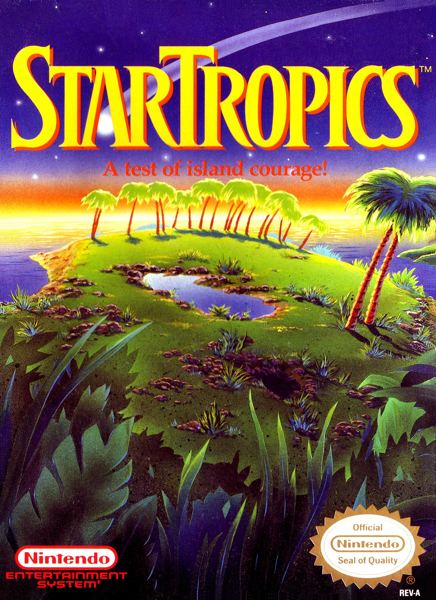 Startropics: Nintendo Entertainment System: Video Games - Amazon.ca