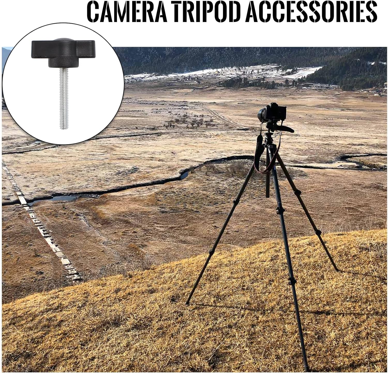 MOROBOR Z-Wings Knurled Thumbscrew Screw, 20pcs M4 x 25mm Galvanized Screw Threaded Knurled Thumb Grip Knobs Thumb Screw for Machinery Lathe with Storage Box