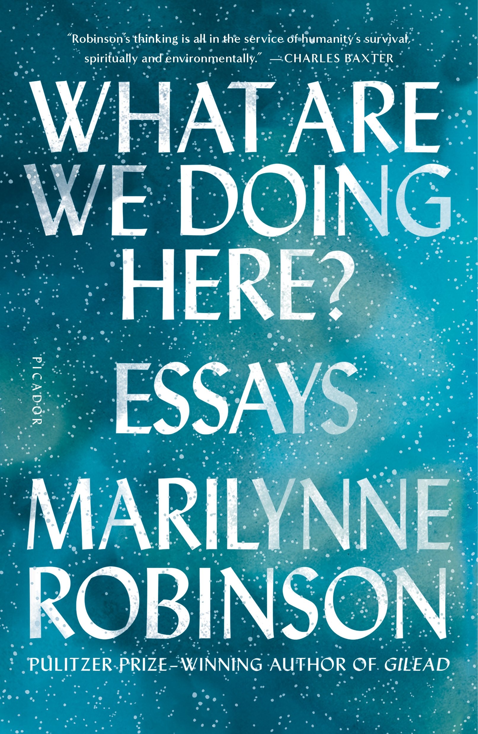 What Are We Doing Here?: Essays