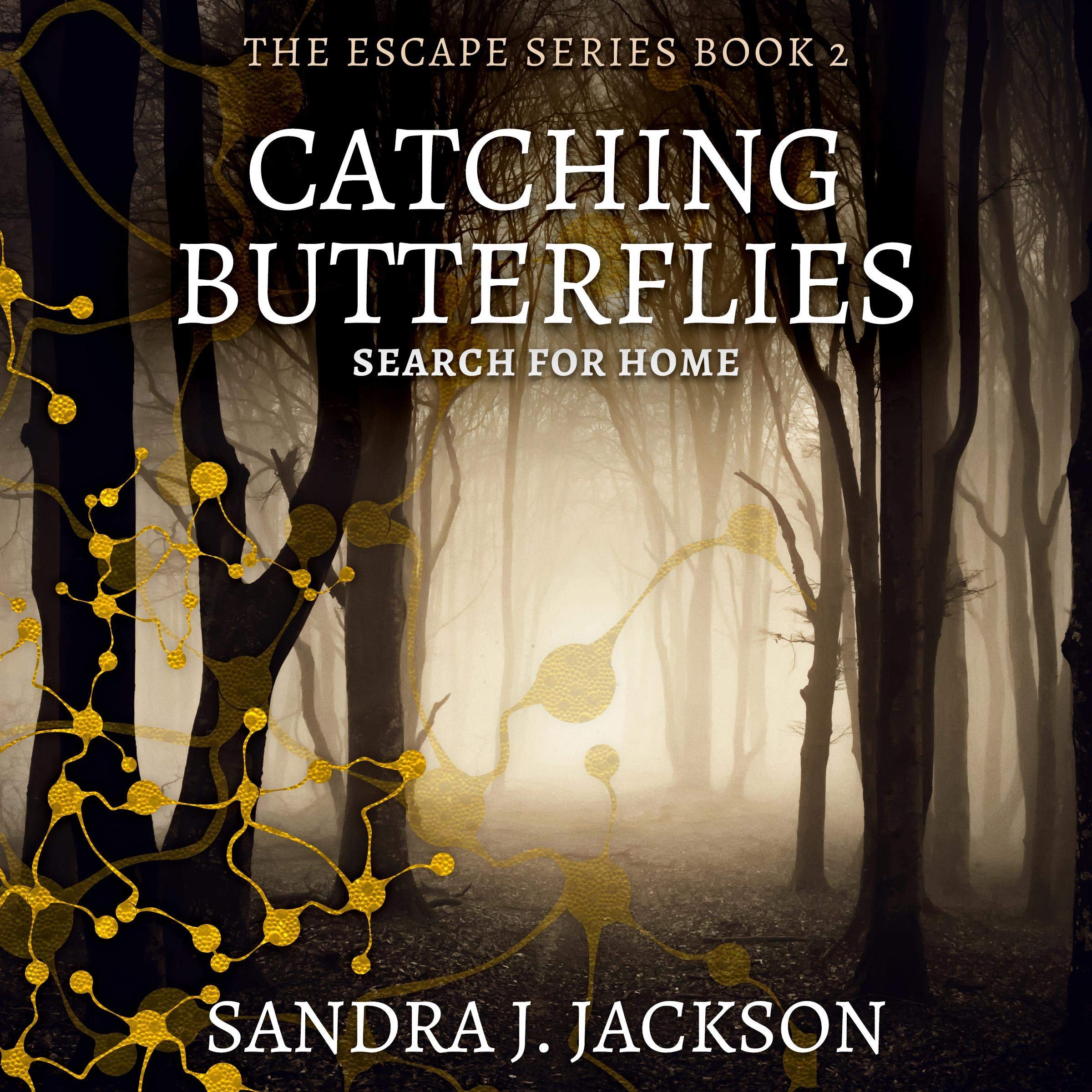 Cover art for Catching Butterflies