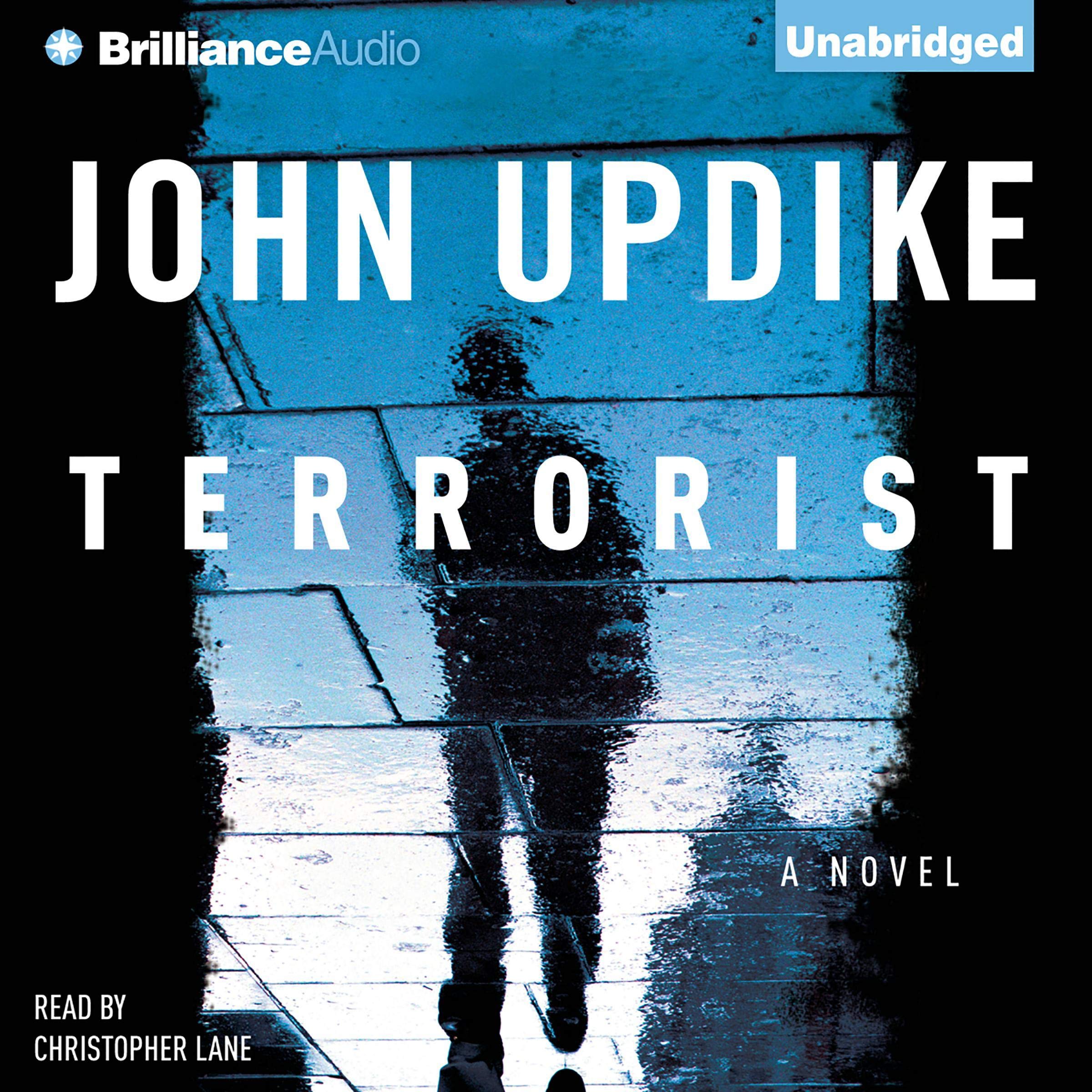 Cover art for Terrorist