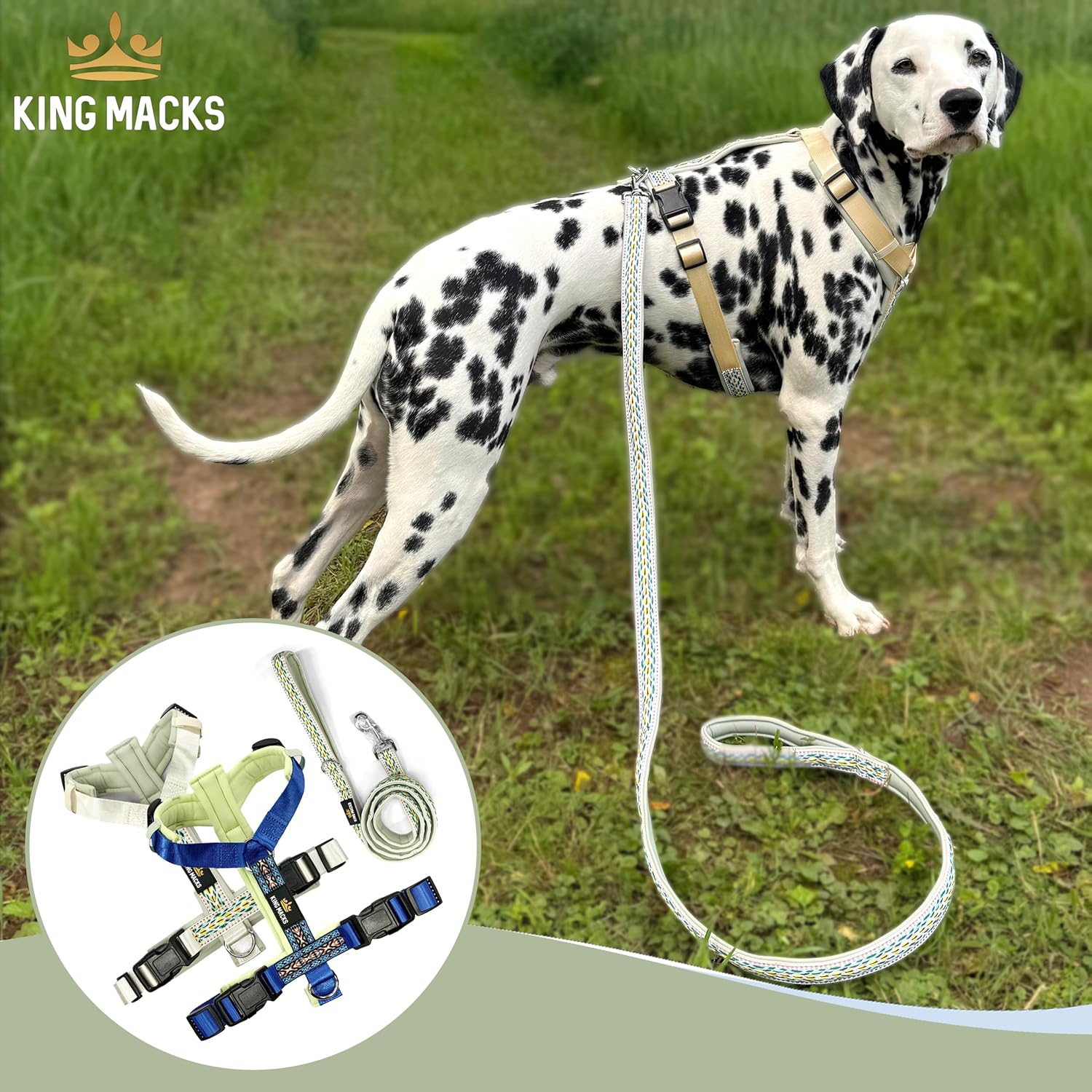 King Macks Dog Harness and Leash, Ajustable Small to Extra Large Dog Harness No-Pull, Cute Boho Tribal Western Print, Y Shape Comfortable (Green, Small)