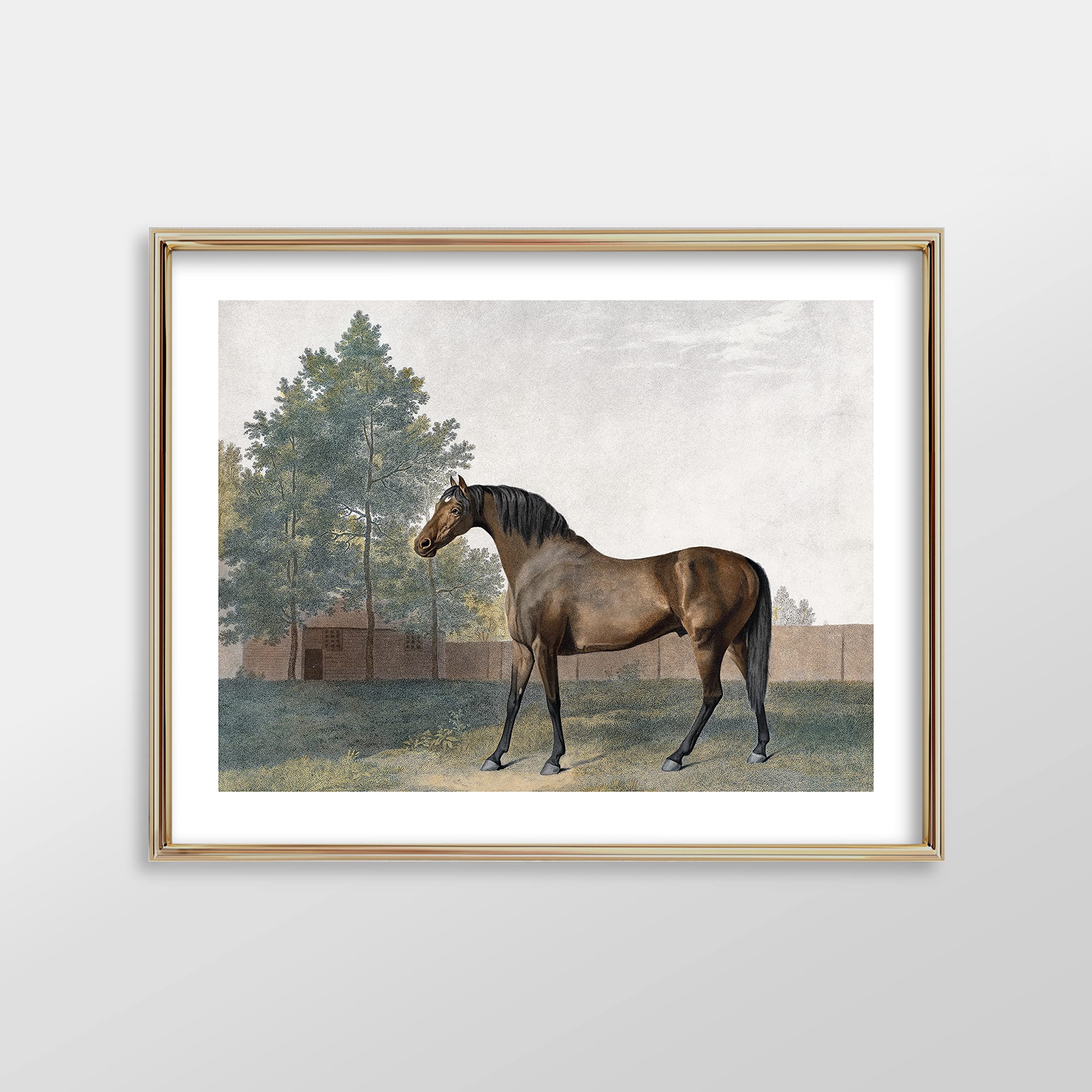 Snapklik.com : Equestrian Wall Decor - Premium Giclee Vintage Horse Art ...