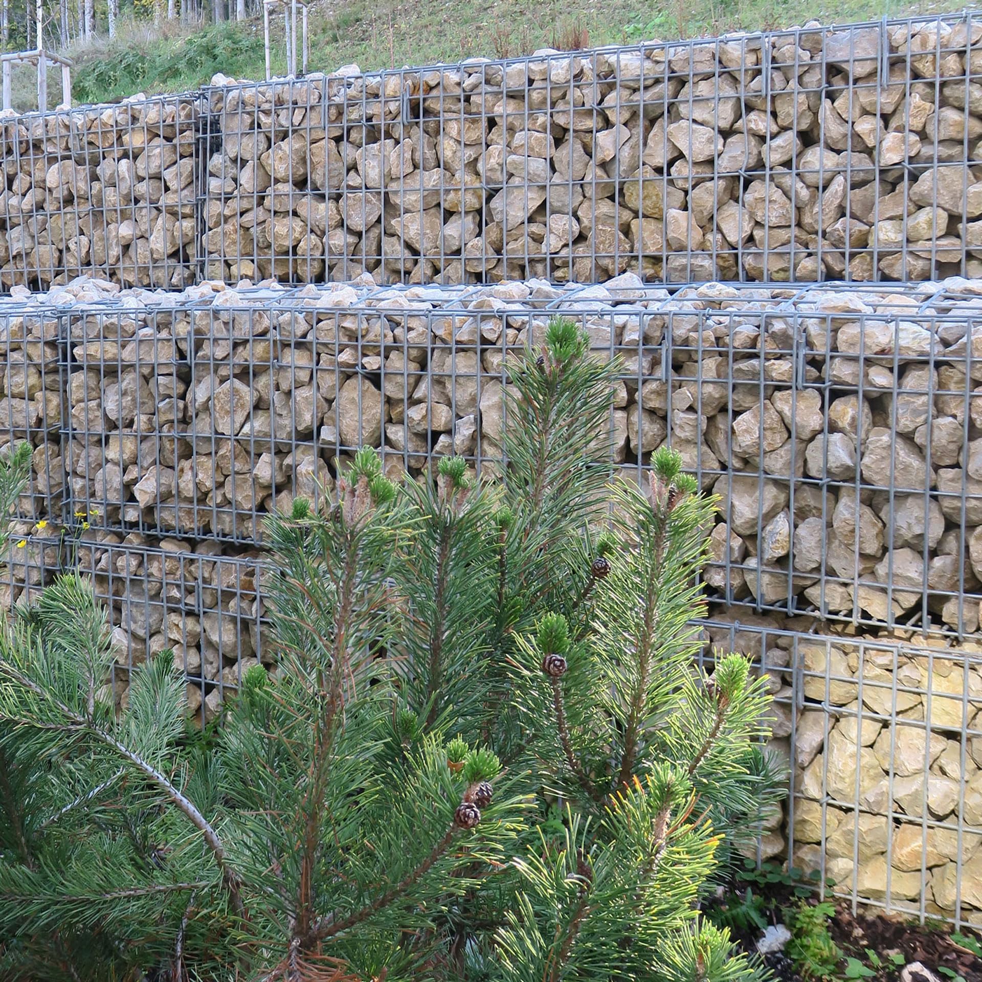 Schicker Mineral Kalk Gabionensteine beige 25 kg, Bruchsteine, farbechtes Naturprodukt, Steine als Füllmaterial für Gabionen, Gartendeko, Gabionenzäune, Gabionensäulen (60-120 mm)