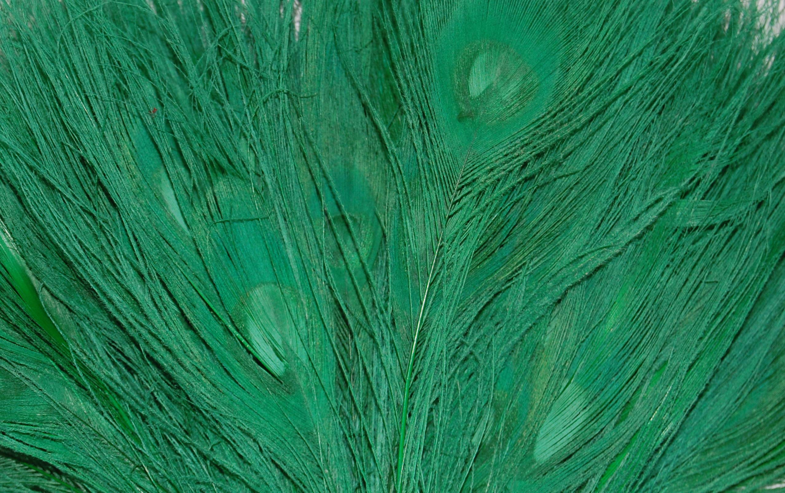 25 Pcs Peacock Feathers 10