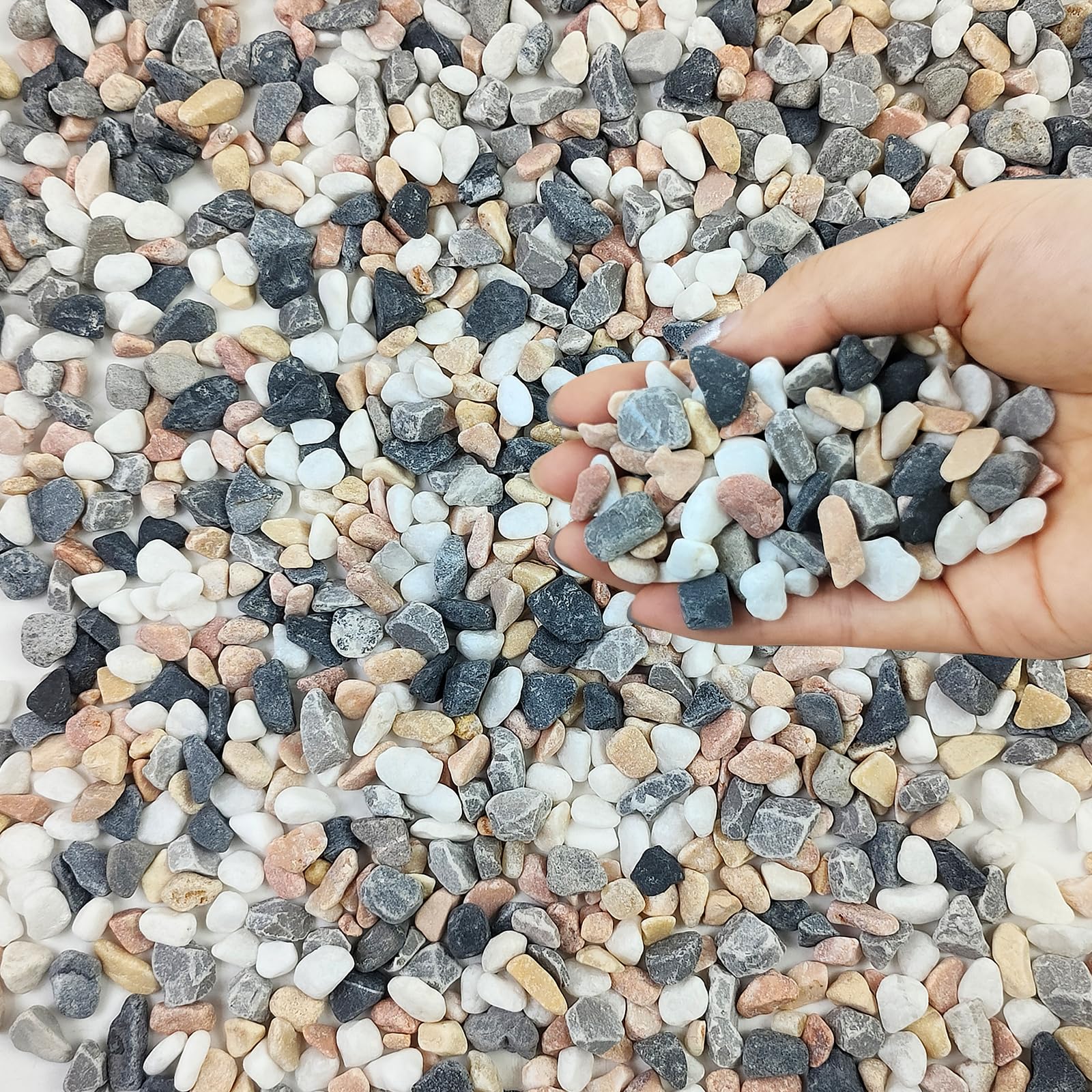 FANTIAN 2 lbs Succulent and Cactus Pebbles Pea Gravel, 6-9 mm Colour Decorative Stones for Plants Pots Vases, Terrarium