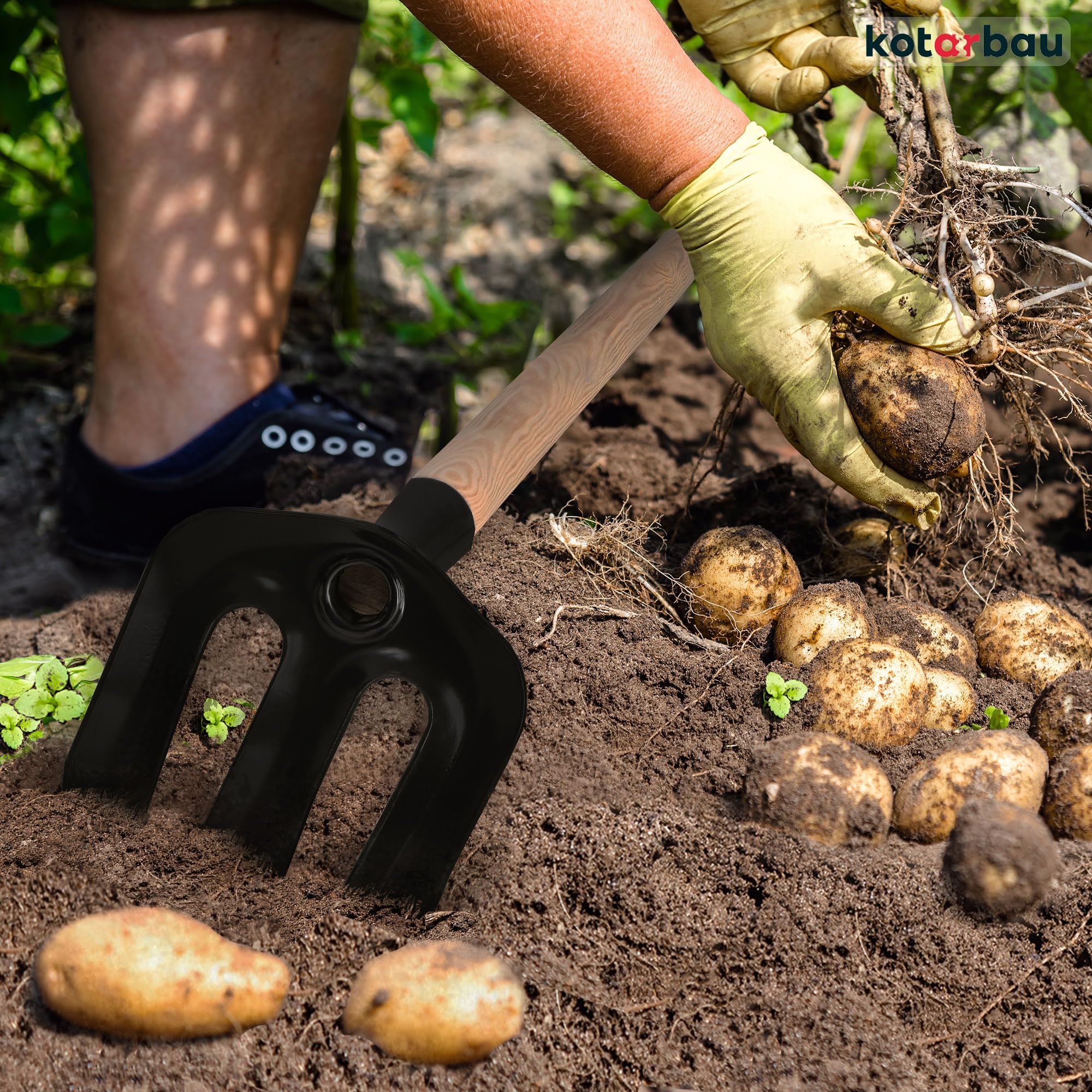 KOTARBAU® Kartoffelhacke mit 3 Zinken Holzstiel 135 cm Landwirtschaftliches Hacke aus Stahl Werkzeug Feldhacke Gartenwerkzeug Gartengeräte Gartenzubehör Garten Handwerkzeuge Pflanzhake