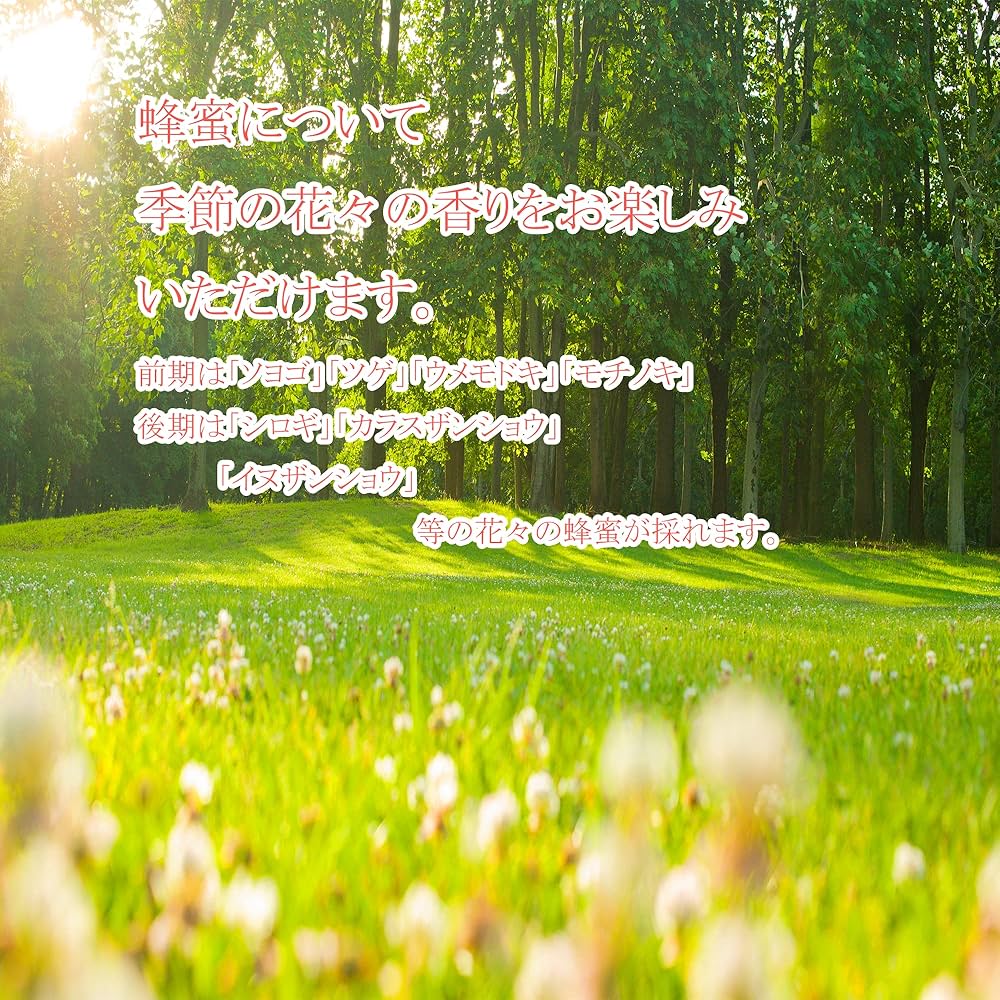 キャラメル状結晶蜜300g+純粋天然生百花蜜300g Amazon | はちみつ 専門店【かの蜂】 国産 百花 蜂蜜 300g 完熟