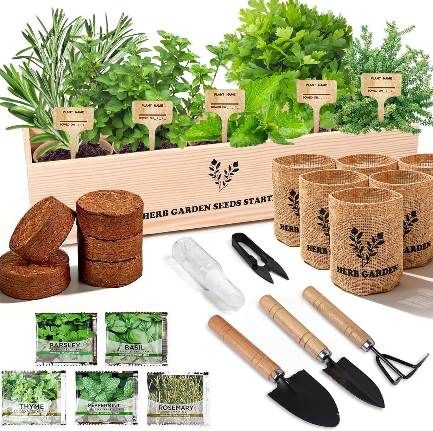 Indoor Herb Garden Starter Kit, 5 Seeds Growing into Basil, Parsley, Rosemary, Thyme, Mint, Including A Planter Box, Soil Discs & Planters with A Gift Box for Women