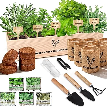 Indoor Herb Garden Starter Kit, 5 Seeds Growing into Basil,