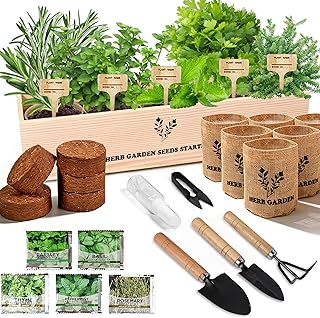 Indoor Herb Garden Starter Kit, 5 Seeds Growing into Basil, Parsley, Ros...