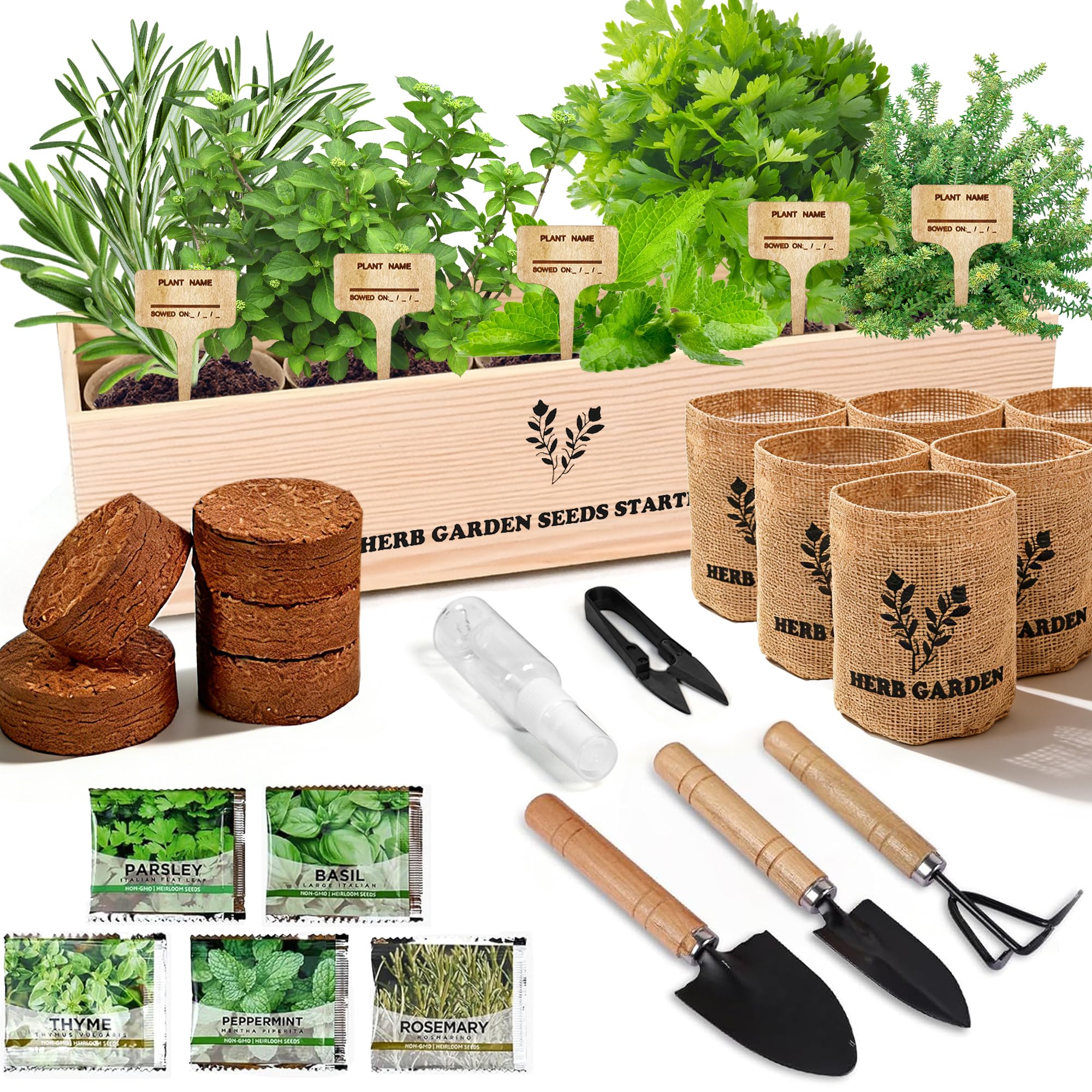 SPROUTIX Indoor Herb Garden Starter Kit