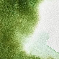 Vista 75 de Winsor & Newton - Pintura para acuarela profesional