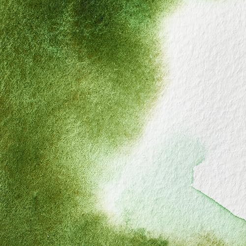 Miniatura 75 de Winsor & Newton - Pintura para acuarela profesional