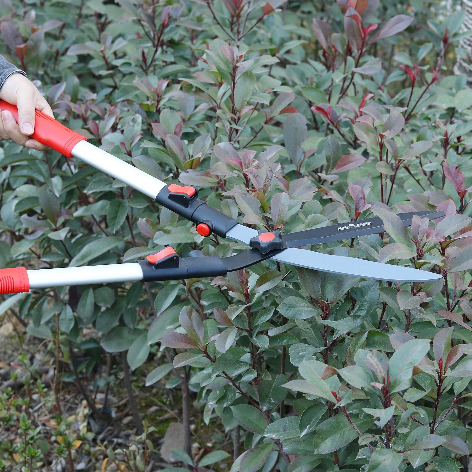 FLORA GUARD 9" Blade Hedge Shears with Wavy Blade and Extendable Handles for Trimming Borders, Boxwood and Bushes - With Shock-Absorbing Bumpers and Blade Tension Control Knob(26-35 inch)