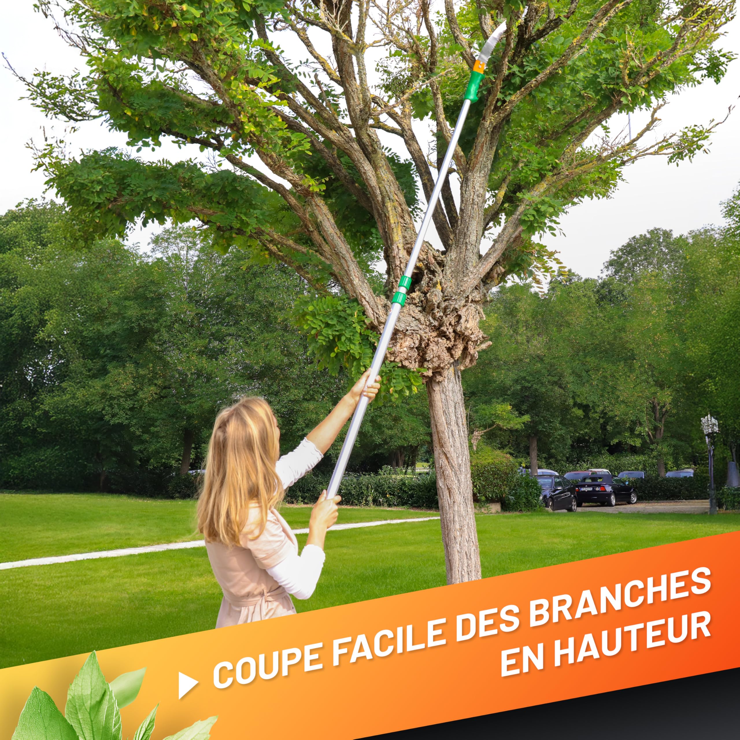 GRÜNTEK Scie Élagage Télescopique sur Perche à Elaguer Coupe Branches 100-240 cm compatible avec Echenilloir GRÜNTEK (art. B096Y5T5VT)