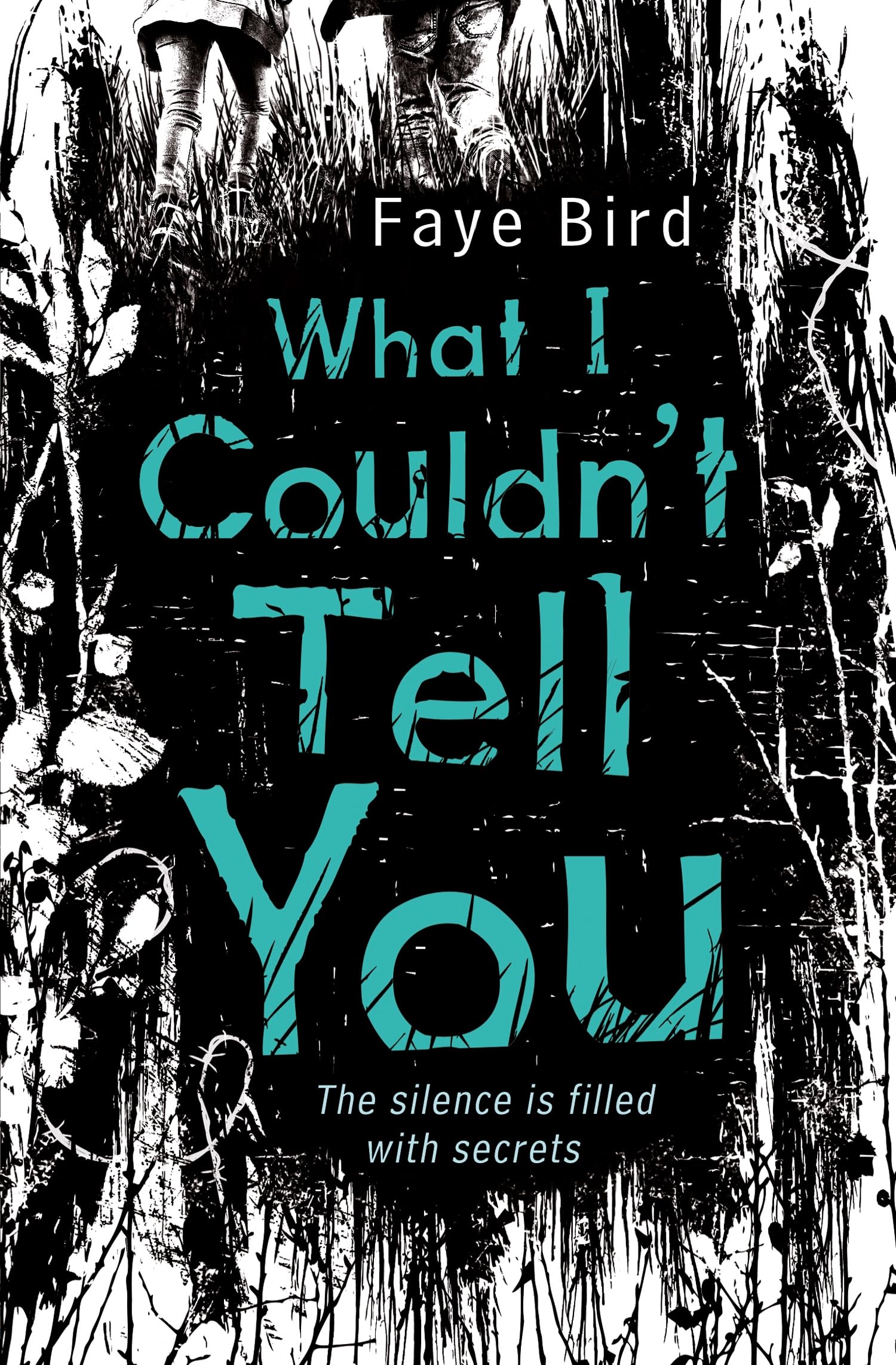 Buy What I Couldn't Tell You — BookShops.in