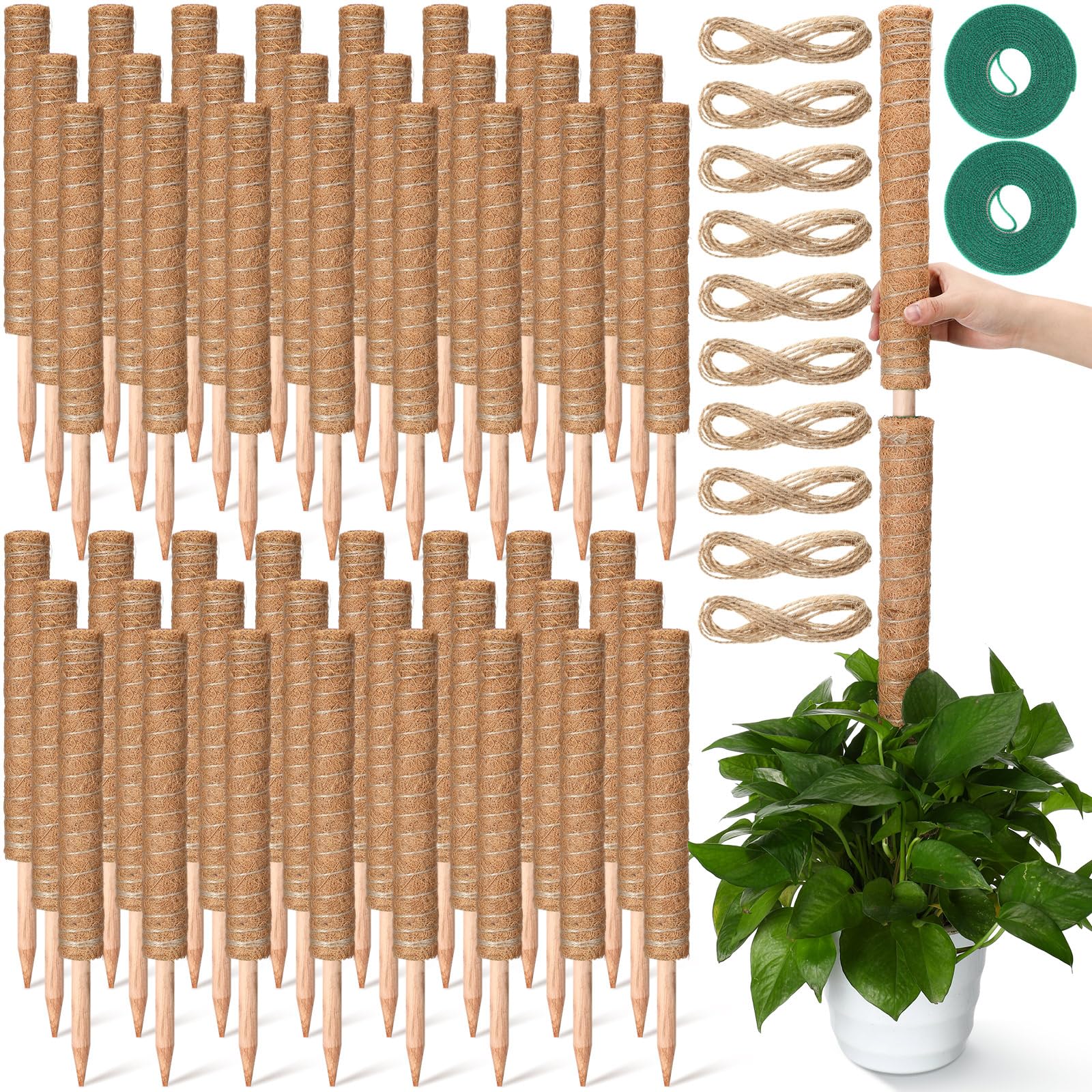 Yinder Monstera-Pflanzenstütze mit 10 x 2 m Juteseil und 2 x 2 m Gartenband, Pflanzstäbe für Zimmerpflanzen, Kletterpflanzen, Totemstange, 41,5 cm, 50 Stück