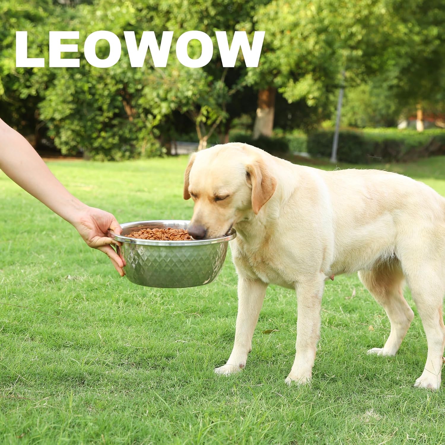 Stainless Steel Large Dog Bowl,176oz/24 Cups /1.3 Gallon Extra Large Dog Bowl- Stainless Steel Metal Dog Food Bowl with High Capacity for Big Giant Dogs (2 Pack)