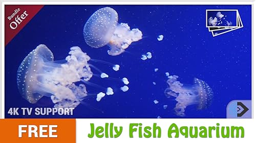 Água-viva aquário HD grátis - desfrute da água-viva na sua TV HDR 4K, TV 8K e dispositivos de fogo c