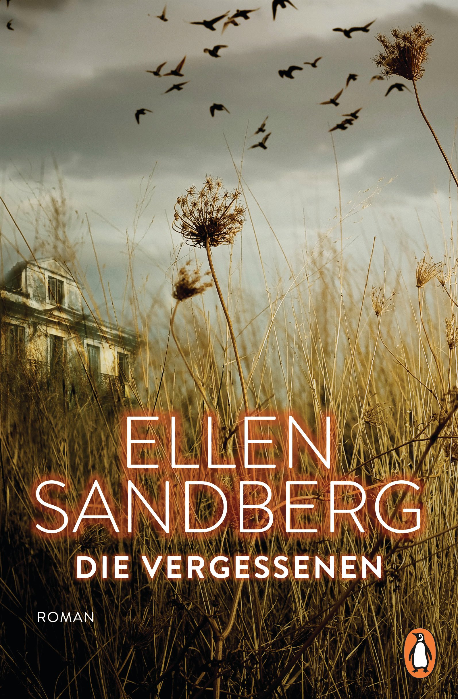 Die Vergessenen: Roman (German Edition)