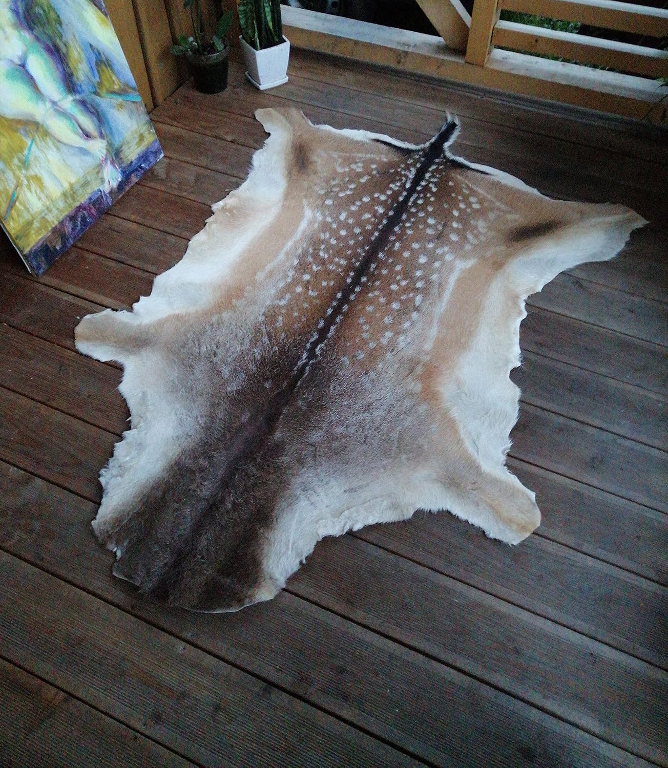 Amazon.com: Robert Tartufferie Fallow Deer Skin Fur Hide pelt Rug ...